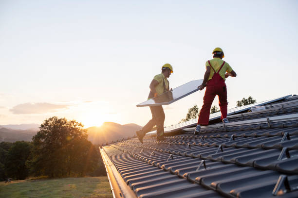 Best Gutter Installation and Repair  in Island Lake, IL