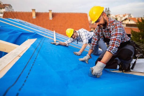 Best Sheet Metal Roofing  in Island Lake, IL