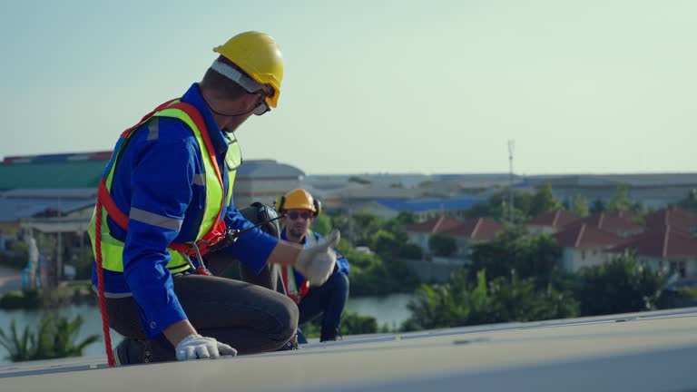 Best Skylight Installation and Repair  in Island Lake, IL